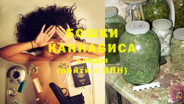 шишки Аркадак