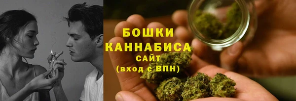 индика Саяногорск