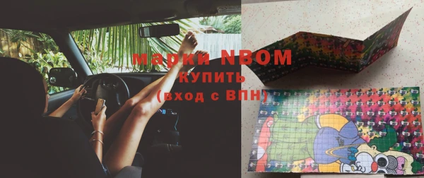 шишки Аркадак