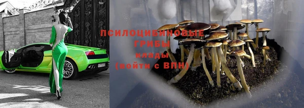 шишки Аркадак