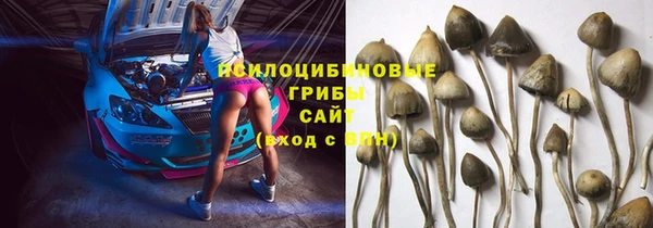 мяу мяу мука Армянск